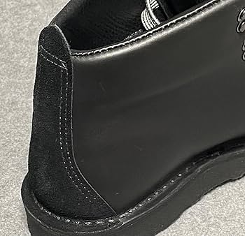 Amazon.co.jp: 限定モデル Danner ダナー MOUNTAIN LIGHT wings+horns